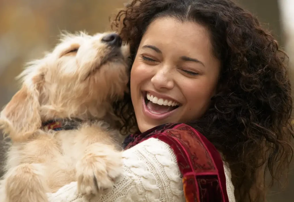 animais de estimação saúde