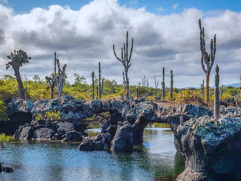 Paisagem de rochas com cactos e lago tranquilo