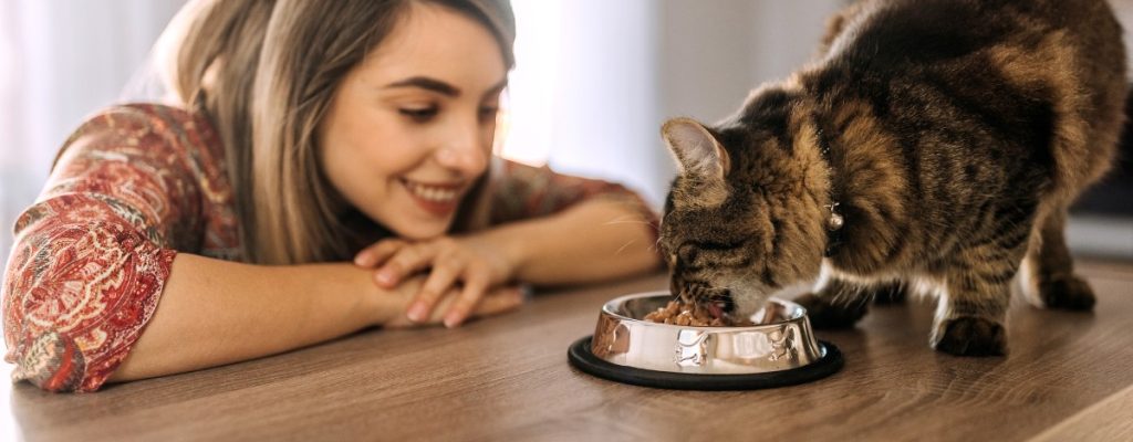 animais de estimação saúde