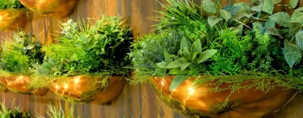 vários vasos de planta colados em uma parede