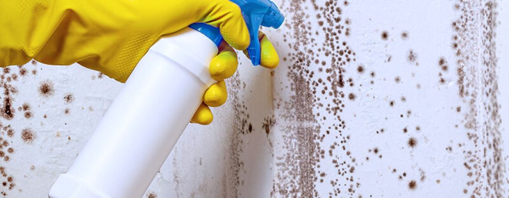 Limpeza de mofo na parede com spray antibacteriano